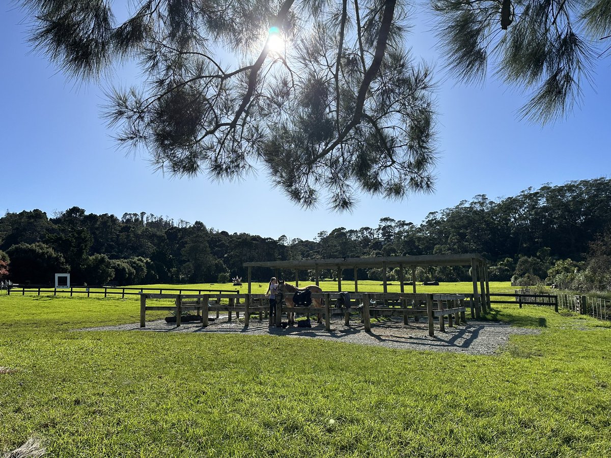 It’s been that  kinda day! #sunshine #winter #Waitakere #Auckland